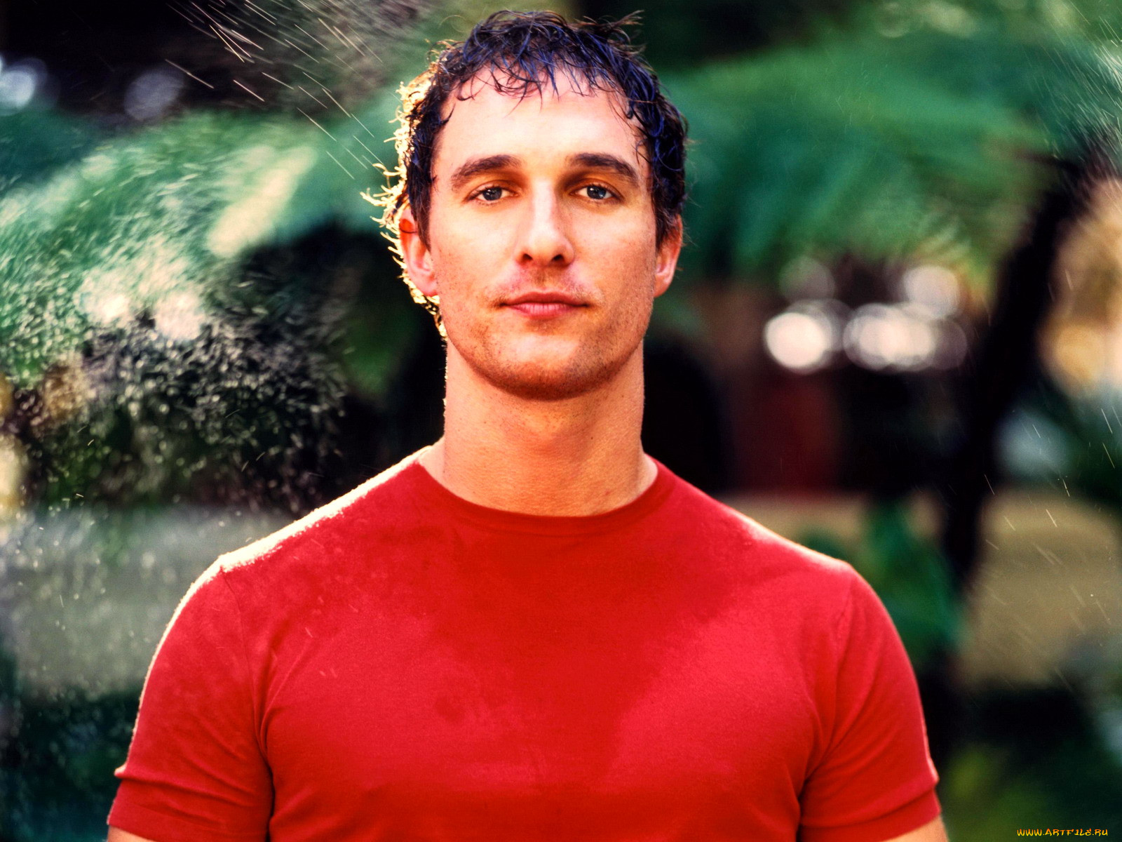 , matthew, mcconaughey
